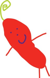 chilli lilli